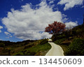 A landscape of a rural mountain slope with blue skies and white clouds 134450609
