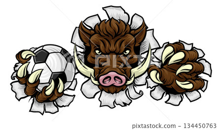 Boar Wild Hog Razorback Warthog Pig Soccer Mascot Boar Wild Hog Razorback Warthog Pig Soccer Mascot 134450763