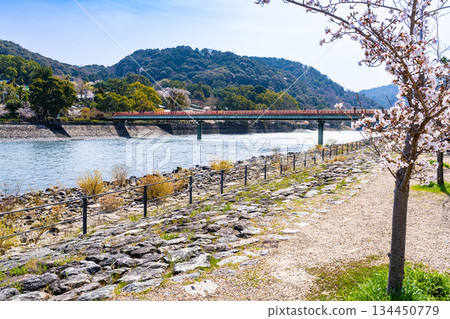 Spring scenery of the Uji River and Mount Asahi, Uji City, Kyoto Prefecture Spring scenery of the Uji River and Mount Asahi, Uji City, Kyoto Prefecture 134450779