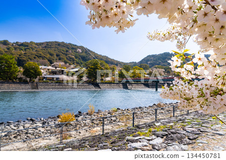Spring scenery of the Uji River and Mt. Daikichi 3, Uji City, Kyoto Prefecture 134450781