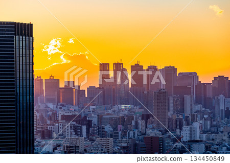 新宿分中心籠罩在落日餘暉中 134450849