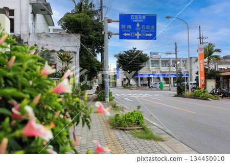 沖繩縣石垣島石垣市文官前十字路口週邊風景 134450910
