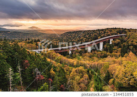 Autumn in Daisetsuzan: Matsumi Bridge crossing the virgin forest and a fantastic sea of clouds 134451055