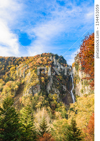 大雪山的秀麗山谷：秋葉、銀牙瀑布與流星瀑布 134451059