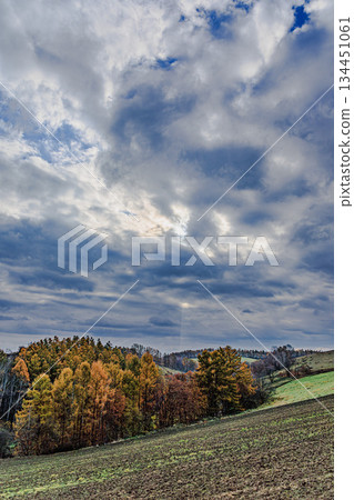 秋雲繚繞，田園風光籠罩著美瑛的山巒。 134451061