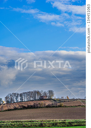 秋日天空下的美瑛山巒景色 134451063