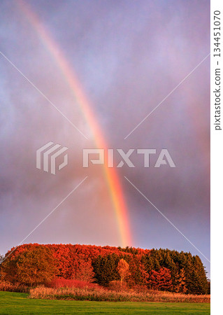 秋林上空的彩虹 134451070