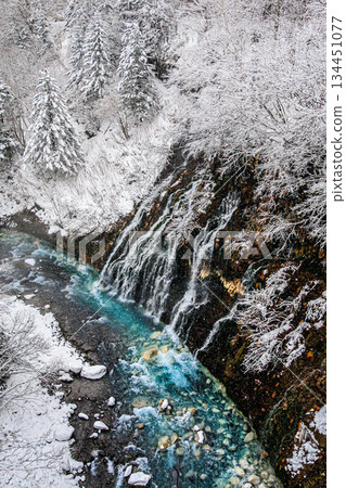 Biei Shirahige Falls cascading through a silvery white forest Biei Shirahige Falls cascading through a silvery white forest 134451077