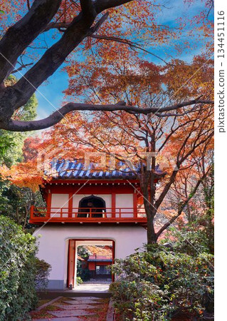 Togonji Temple and Ryugumon Gate in autumn 134451116