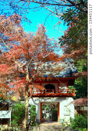 Togonji Temple and Ryugumon Gate in autumn Togonji Temple and Ryugumon Gate in autumn 134451117
