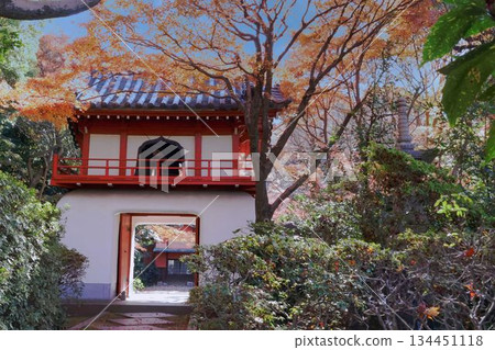 Togonji Temple and Ryugumon Gate in autumn 134451118
