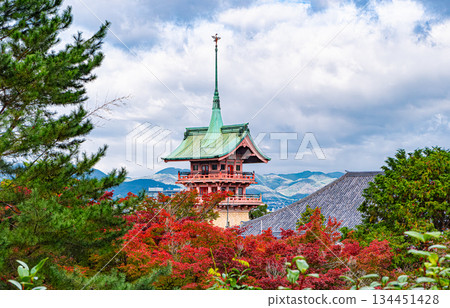 京都大雲院只園閣 京都大雲院只園閣 134451428
