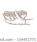 A gloved hand serving a hot dog. Vector illustration in outline style. This image is related to fast food and street food. Suitable for use in menus, advertising banners, packaging, fast food branding 134451771