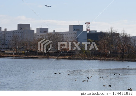 天空中滿是野鳥和從大阪伊丹機場起飛的飛機－伊丹小南池公園的城市綠洲 134451952