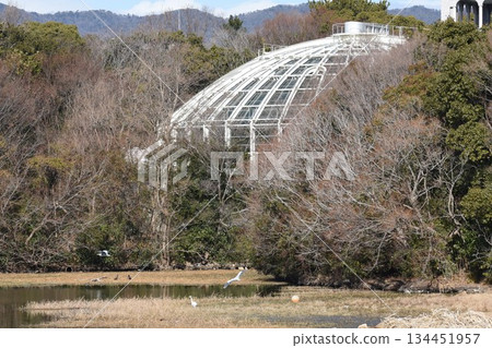 Wild Bird Paradise, Itami City, Koyoike Park, Insectarium 134451957
