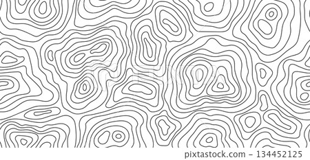 Seamless pattern topographic contour map. Landscape geodesy topography map. Background with contour landscape. 134452125