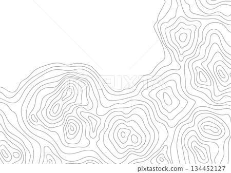 Abstract outline topographic contour map. Landscape geodesy topography map. Background with contour landscape. Abstract outline topographic contour map. Landscape geodesy topography map. Background with contour landscape. 134452127