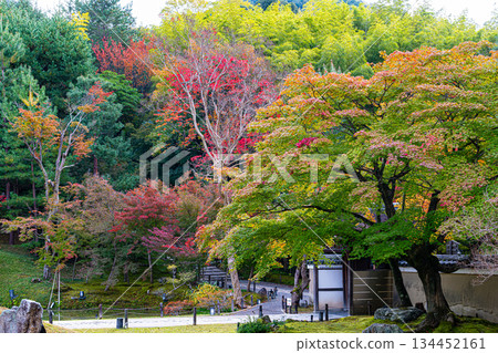 Kodaiji Temple Garden, Kyoto 134452161