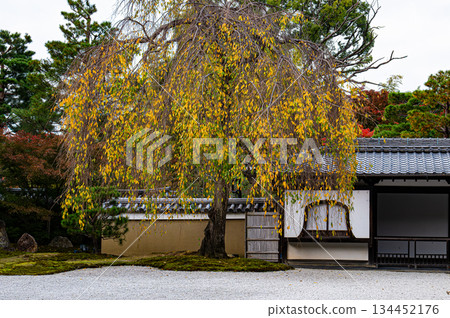 京都高台寺北條庭園 京都高台寺北條庭園 134452176