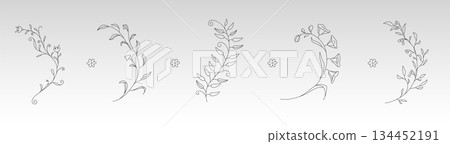 Elegant floral elements with delicate flower 134452191