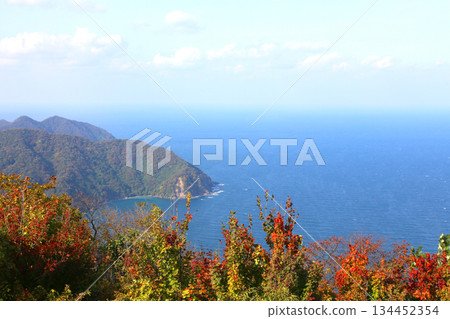 三方露台、三方五湖彩虹線、山頂公園、日本海、水月湖、日向湖、須賀湖、久串湖、若狹灣 134452354