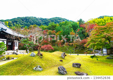 Kodaiji Temple Garden, Kyoto 134452636