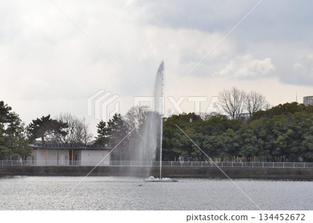 野生鳥類天堂，伊丹市，小池公園，噴泉 134452672