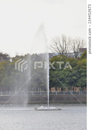 Wild Bird Paradise, Itami City, Koyoike Park, Fountain 134452673
