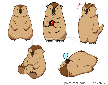 各種土撥鼠插圖集 各種土撥鼠插圖集 134452687