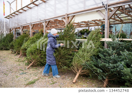 Woman choosing fresh Christmas tree at outdoor garden center 134452748