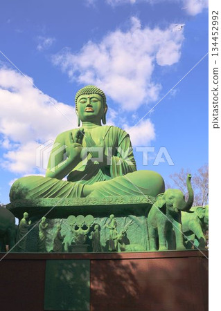 Togonji Temple with autumn leaves, Nagoya Great Buddha Togonji Temple with autumn leaves, Nagoya Great Buddha 134452992