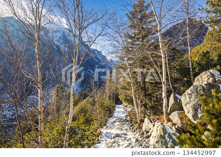A mountain trail winds through a forest of bare trees, with snow-dusted paths and towering peaks in the background, all under a clear blue sky. High Tatras National Park, Slovakia, Europe. A mountain trail winds through a forest of bare trees, with snow-dusted paths and towering peaks in the background, all under a clear blue sky. High Tatras National Park, Slovakia, Europe. 134452997