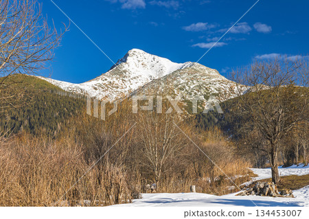 Krivan mountain in High Tatras National Park, Slovakia, Europe. Idyllic mountain landscape with a snow-covered peak and a bright blue sky above, with trees and snow in the foreground. Krivan mountain in High Tatras National Park, Slovakia, Europe. Idyllic mountain landscape with a snow-covered peak and a bright blue sky above, with trees and snow in the foreground. 134453007