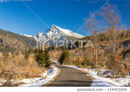 Krivan mountain in High Tatras National Park, Slovakia, Europe. Scenic road winds through a forested landscape towards a snow-capped mountain peak on a clear, sunny day adventure. 134453009