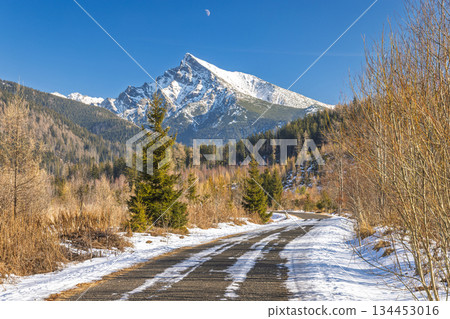 Krivan mountain in High Tatras National Park, Slovakia, Europe. A snowy asphalt road runs through a forest landscape, ascending towards a majestic mountain peak with the moon visible in the sky. Krivan mountain in High Tatras National Park, Slovakia, Europe. A snowy asphalt road runs through a forest landscape, ascending towards a majestic mountain peak with the moon visible in the sky. 134453016