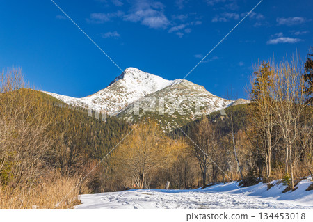 Krivan mountain in High Tatras National Park, Slovakia, Europe. Snowy mountain peak against a blue sky with trees in the foreground, offering a scenic view of the winter landscape. Krivan mountain in High Tatras National Park, Slovakia, Europe. Snowy mountain peak against a blue sky with trees in the foreground, offering a scenic view of the winter landscape. 134453018