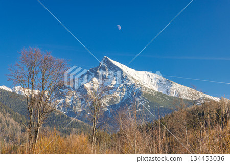 Krivan mountain in High Tatras National Park, Slovakia, Europe. Majestic snowy peak in the distance under a clear blue sky with leafless trees adding texture to the serene landscape. 134453036