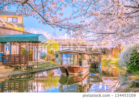 伏見直水國船春季水岸風光 伏見直水國船春季水岸風光 134453109