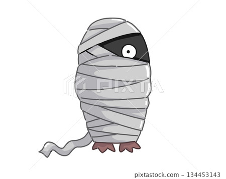 Illustration of a penguin wrapped in bandages 134453143