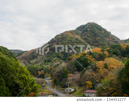 懷舊山路：一段追尋記憶的靜謐旅程 134453277
