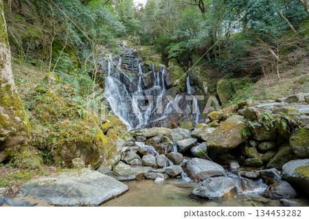糸島市白絲瀑佈景色 糸島市白絲瀑佈景色 134453282