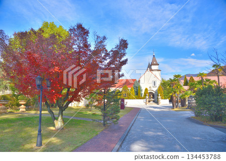 Sadoya Winery, Yamanashi Prefecture 134453788