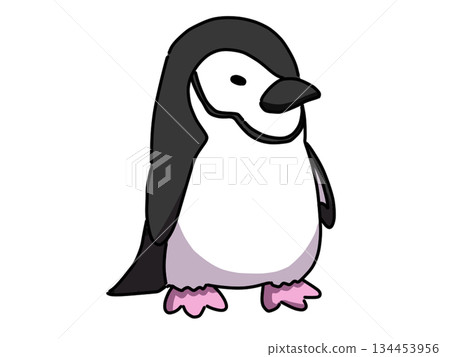 企鵝下巴插圖 企鵝下巴插圖 134453956