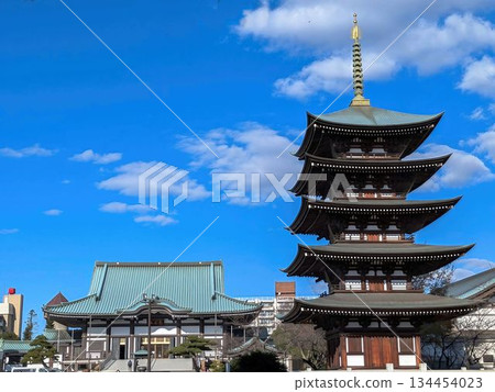 Nittaiji五層塔 Nittaiji五層塔 134454023