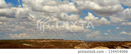 Bleak Landscape Petrified Forest National Park Arizona 134454066