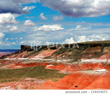 Bleak Landscape Petrified Forest National Park Arizona 134454073