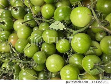 Blue Petit tomato Blue Petit tomato 134454089