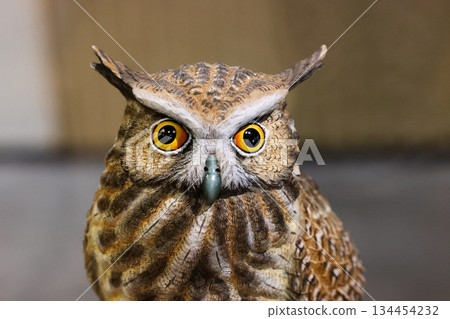 Close-up of the Owl Decor for Home, small Owl Statue Owl Figurines. Home Decoration. 134454232