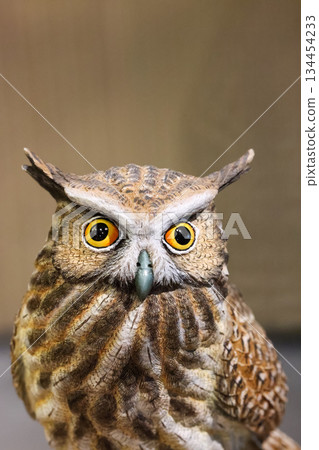 Close-up of the Owl Decor for Home, small Owl Statue Owl Figurines. Home Decoration. Close-up of the Owl Decor for Home, small Owl Statue Owl Figurines. Home Decoration. 134454233