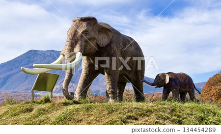 秋季從18號國道和黑姬山眺望野尻湖畔的瑙曼象母子雕像 134454289